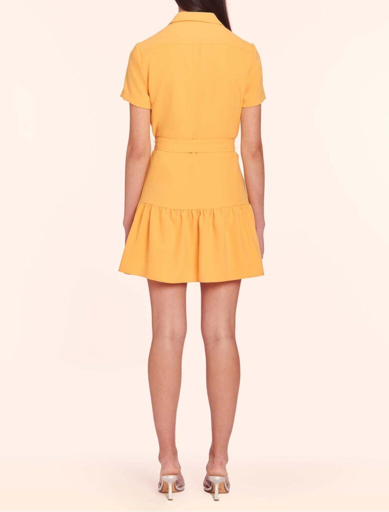 Cathee Cathee Dress | Citron – The Warehouse Collective